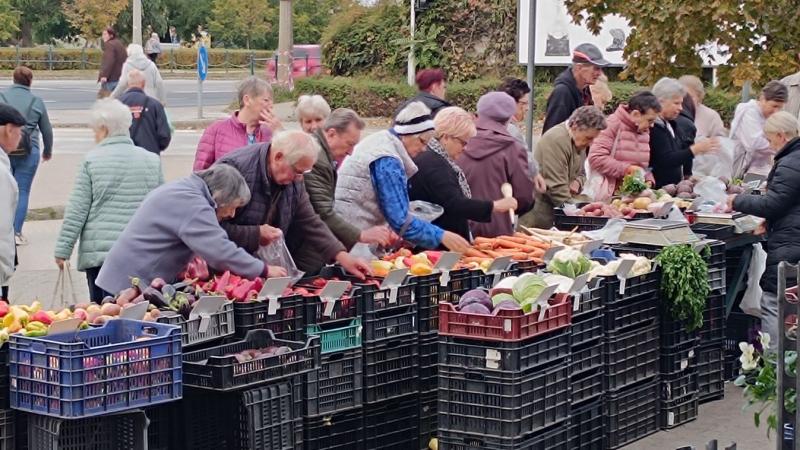 A piacon található a természetes gyógyír – ez a tendencia most a legnépszerűbb Fehérváron!