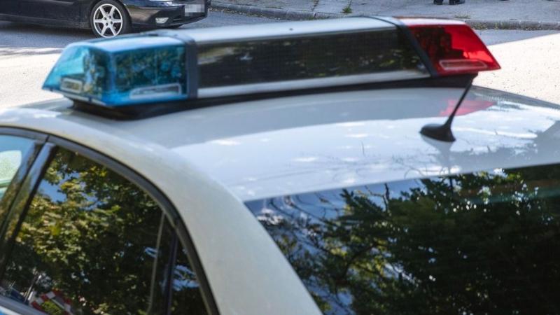 Köröm környékén szokatlan mozgásra lettek figyelmesek – ez bizony nem a véletlen műve volt.