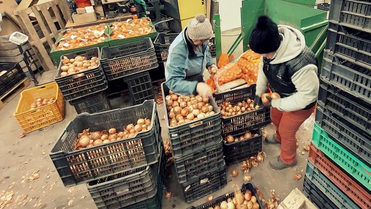 Termelői védelem: véget vetünk a gazdák kihasználásának - Agrárágazat