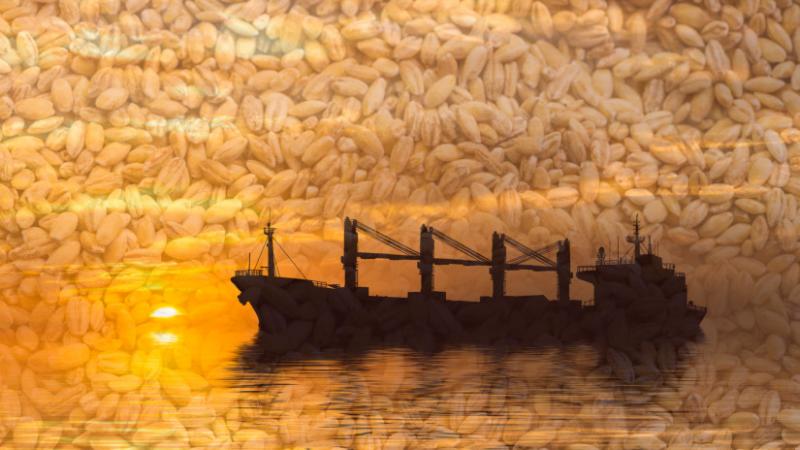 Oroszország jelentős lépést tett, amely komoly következményekkel járhat a globális gabonapiac számára - Agrárszektor.