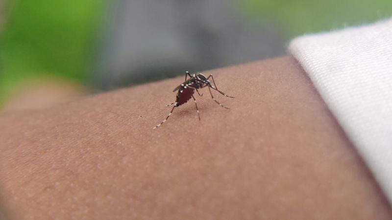 Ha már itt is megjelent, vajon mit hoz a jövő Magyarország számára? A helyzet igazán aggasztó lehet, és érdemes felkészülnünk a következményekre - figyelmeztet a Pénzcentrum.