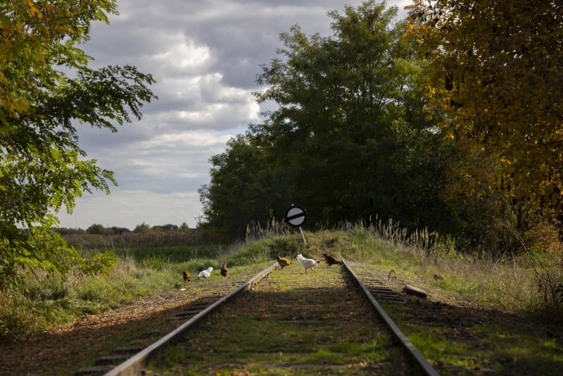 A trianoni döntést még elviselte, de a kínai akkumulátorgyár már nem bírta ki.