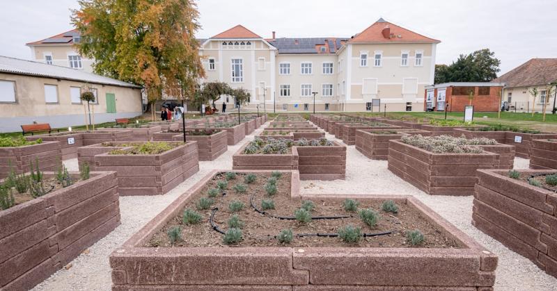 Fedezd fel a jövő csodáit: okoskert és mesterséges intelligencia az óvári egyetem farmján!