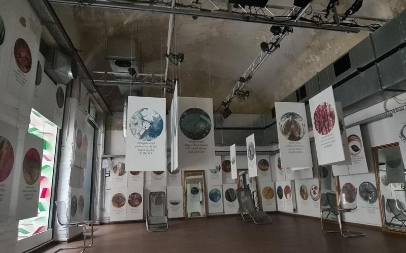 Budapestre érkeznek a kisebbségi magyar közösségek: Erdélyből, Szlovákiából és Szerbiából állítanak ki, hogy bemutassák kultúrájuk gazdagságát és sokszínűségét.