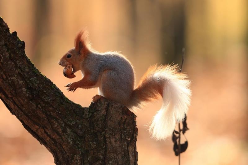 Október végére egy igazán különleges időjárási helyzet bontakozik ki, amely szokatlanul alakul. Fedezd fel, mit tartogat számunkra a következő napok időjárása!